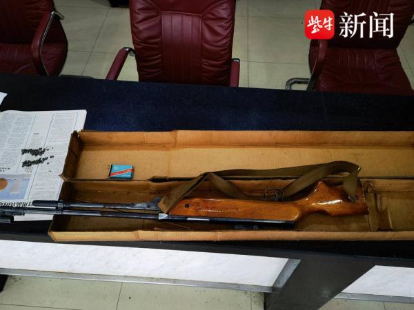 清理阁楼，发现枪支！