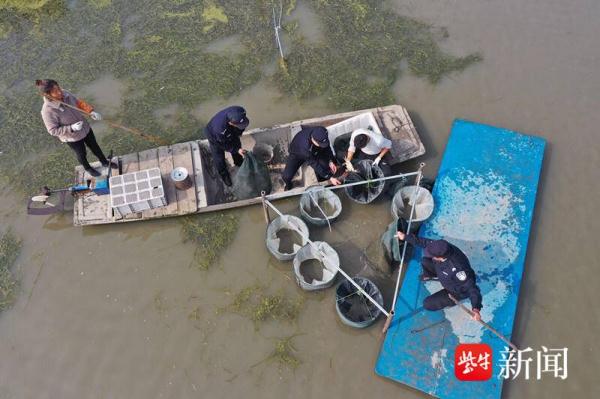 付2000定金运走10万元螃蟹,还报警“限制人身自由”想逃脱 宝应成功告破系列涉农诈骗 付2000定金运走10万元螃蟹,还报警“限制人身自由”想逃脱 宝应成功告破系列涉农诈骗