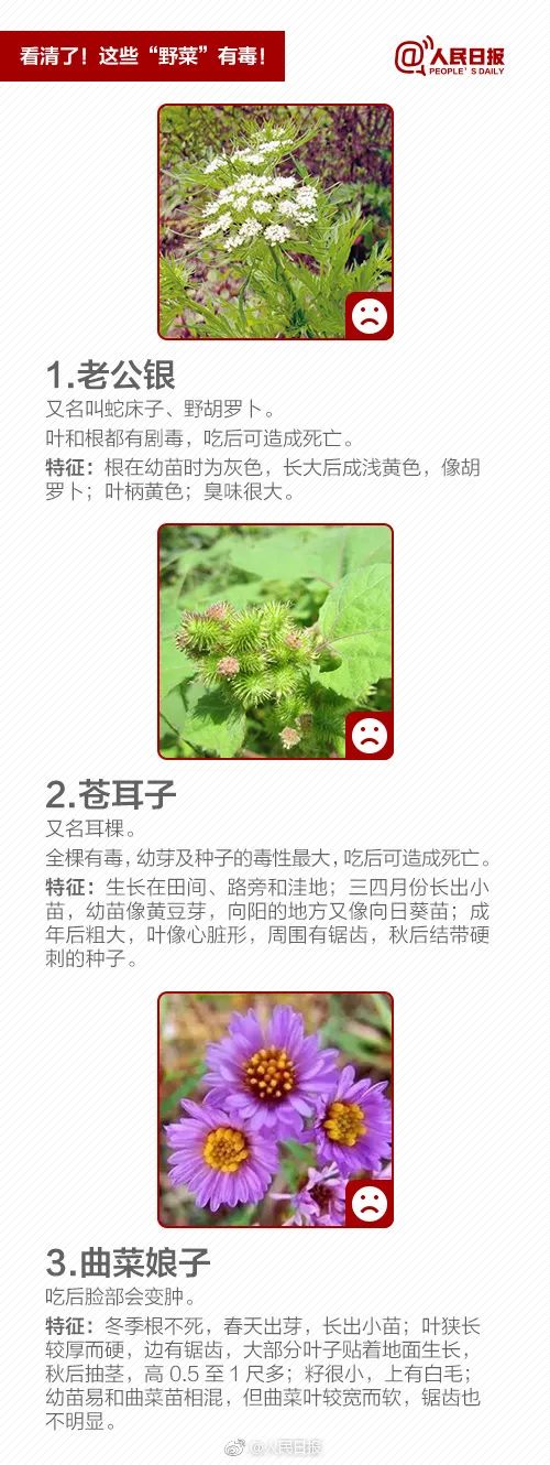 春天到了，不少人沉迷挖野菜？当心中毒！