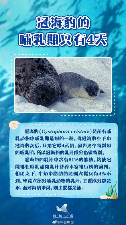 你知道吗？海豹并不都生活在海里