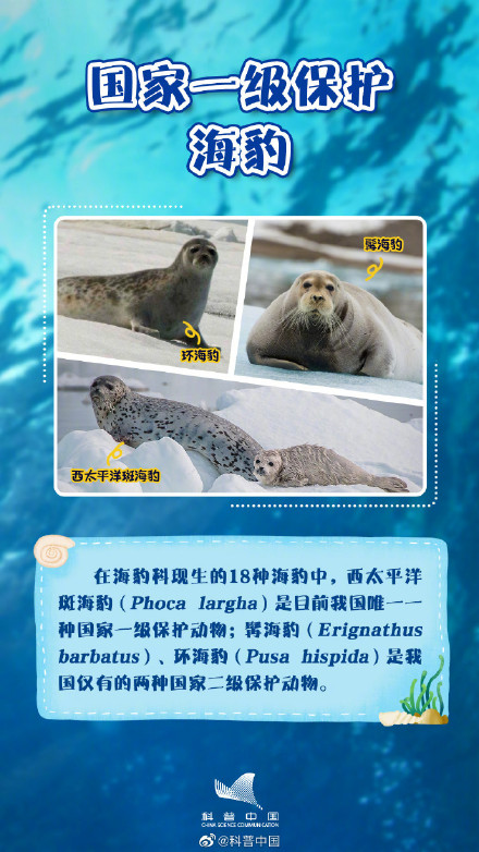 你知道吗？海豹并不都生活在海里