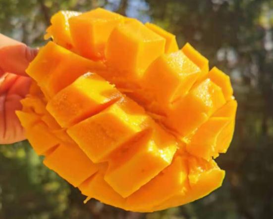 杭州一男生全身皮肤溃烂,只因吃了几口这种水果!眼下正大量上市 杭州一男生全身皮肤溃烂,只因吃了几口这种水果!眼下正大量上市