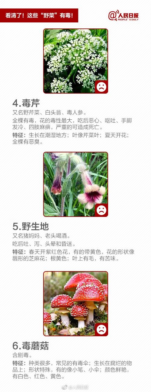 春天到了，不少人沉迷挖野菜？当心中毒！