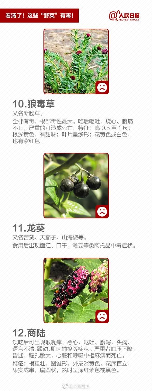 春天到了，不少人沉迷挖野菜？当心中毒！