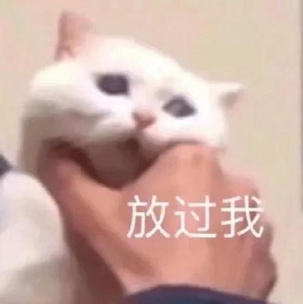 哪家公司会要求员工干这事？杭州网友直呼“救命”！