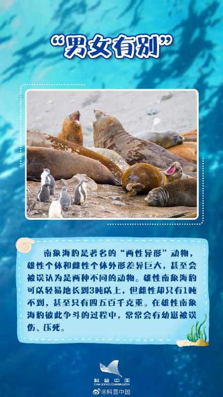 你知道吗？海豹并不都生活在海里