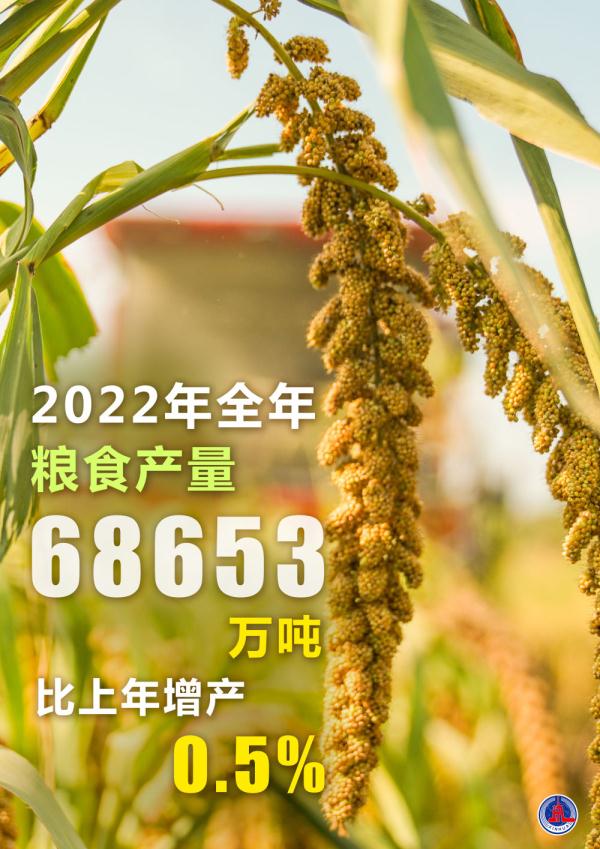 海报：数说2022年中国经济社会发展成绩单