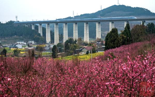 成都官宣入春！四川接下来的天气……