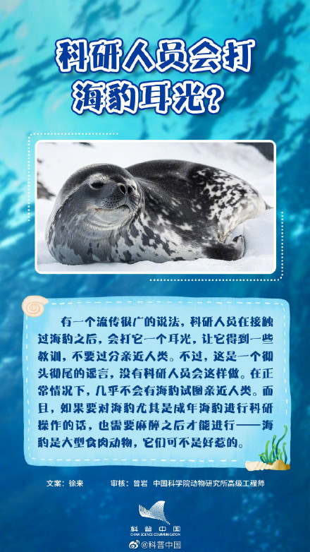 你知道吗？海豹并不都生活在海里