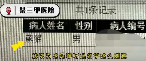 网红大熊猫在上海三甲医院做CT？是真的，还要动手术！