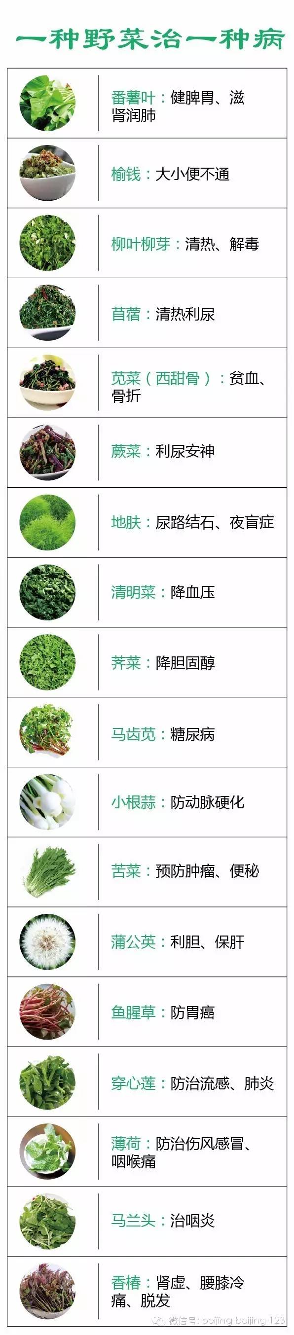 春天到了，不少人沉迷挖野菜？当心中毒！