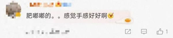 时隔6年再现身，可爱到没朋友！