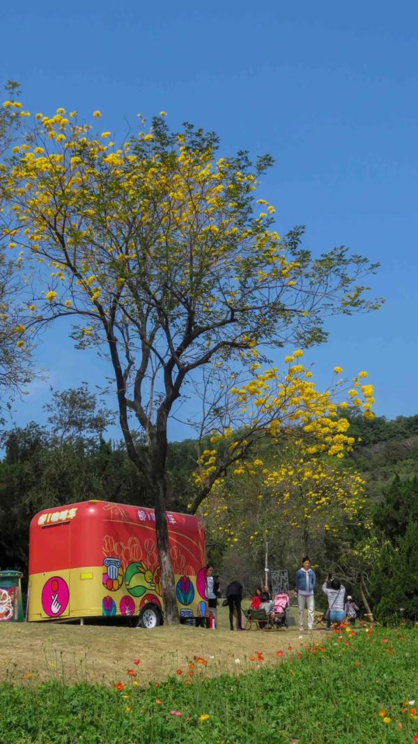 广州十大春季赏花线路公布！