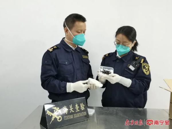 南宁海关在进境邮件里查获“玩具”,打开一看竟是活体 南宁海关在进境邮件里查获“玩具”,打开一看竟是活体