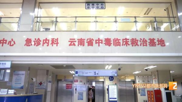 云南人的吃花季到了！医生提醒：这种花极易中毒，最好别吃！