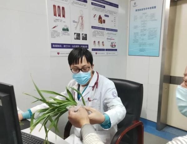 这种植物有毒！你家花盆里可能有