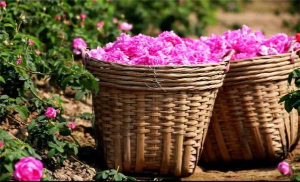 广州⇋中山，45分钟可互达市中心！新城际线开工在即……