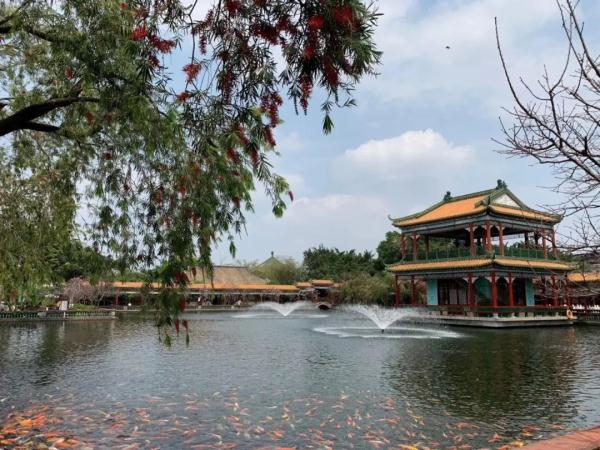 广州十大春季赏花线路公布！