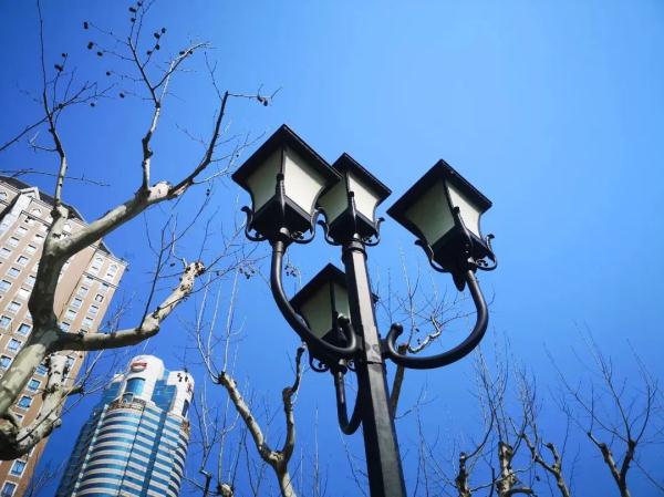 最高20℃+!上海的春天真的要来了? 最高20℃+!上海的春天真的要来了?