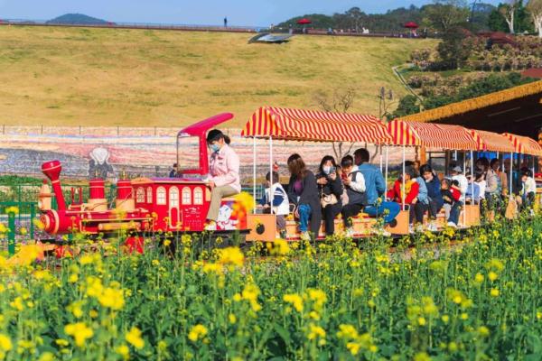 广州十大春季赏花线路公布！
