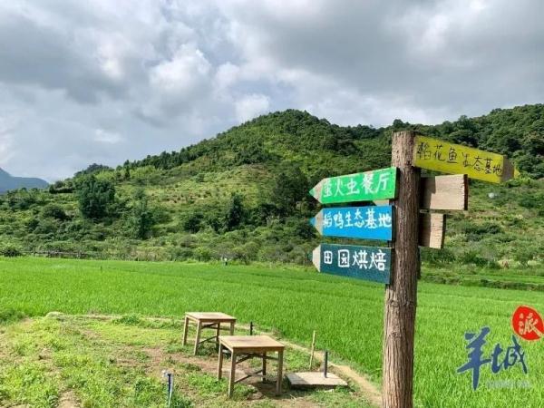 广州十大春季赏花线路公布！
