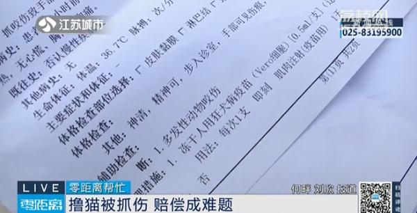 四岁女孩撸猫被抓伤，店家以“免责协议”为由拒绝赔偿……
