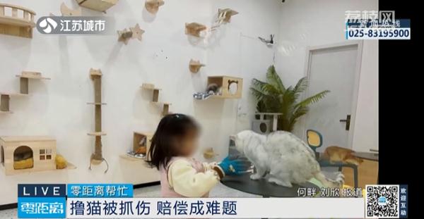 四岁女孩撸猫被抓伤，店家以“免责协议”为由拒绝赔偿……