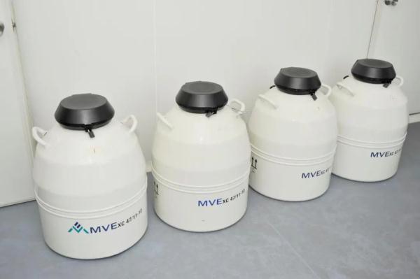 相差12岁，他们竟然是双胞胎！