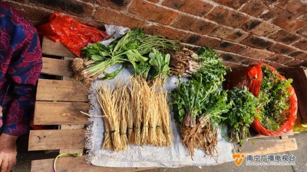 春天正是吃野菜季節(jié)！醫(yī)生提醒：吃野菜時應(yīng)注意這些細(xì)節(jié)
