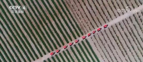 中国生态文明建设为世界绿色发展创造机遇