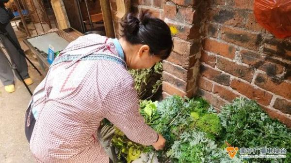 春天正是吃野菜季節(jié)！醫(yī)生提醒：吃野菜時應(yīng)注意這些細(xì)節(jié)