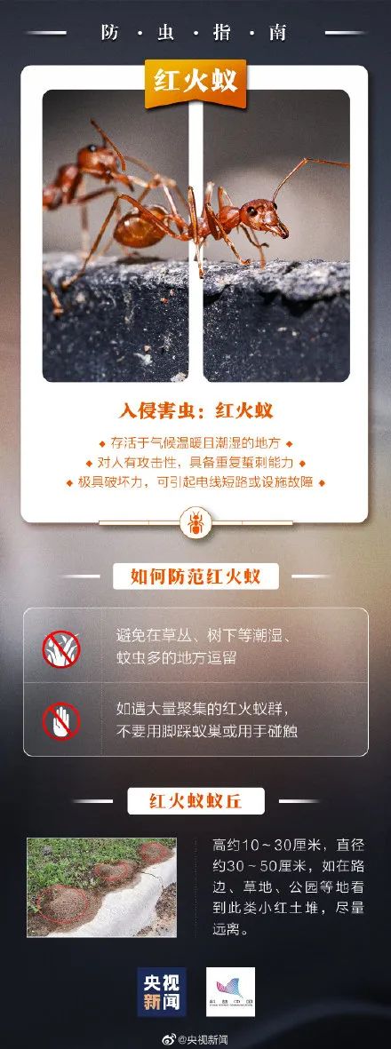 卷土重来！毒性强！南方多地已出现，千万别碰