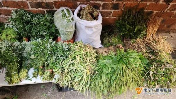 春天正是吃野菜季節(jié)！醫(yī)生提醒：吃野菜時應(yīng)注意這些細(xì)節(jié)