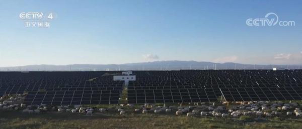 中国生态文明建设为世界绿色发展创造机遇