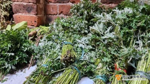 春天正是吃野菜季節(jié)！醫(yī)生提醒：吃野菜時應(yīng)注意這些細(xì)節(jié)