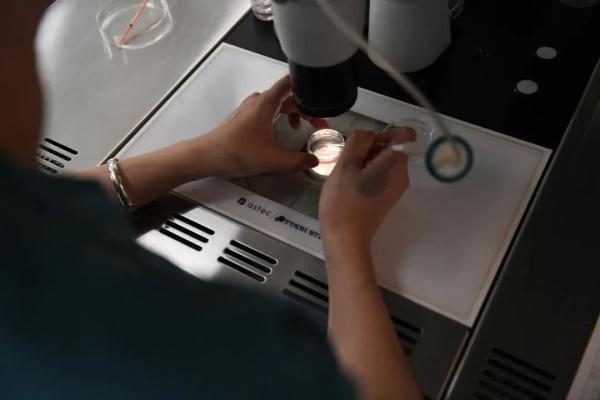 相差12岁，他们竟然是双胞胎！