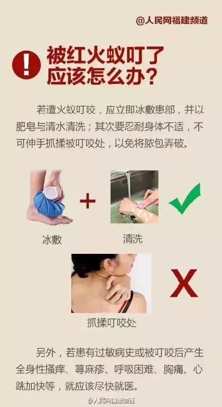 遇到这种“小土堆”要注意！毒性强！已有两地发现......