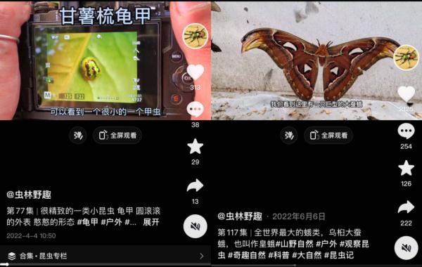 热点 | 95后小伙饿起来吃虫？知道真相的网友：老师，还缺人吗......