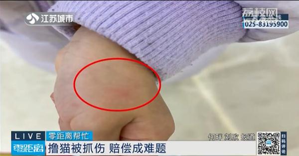 四岁女孩撸猫被抓伤，店家以“免责协议”为由拒绝赔偿……