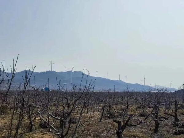 7天，800多公里！男孩与67岁爷爷一路骑行去上学：是远行也是陪伴