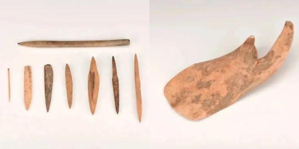 “后稷教民稼穑于稷山”,要被证实了?! “后稷教民稼穑于稷山”,要被证实了?!