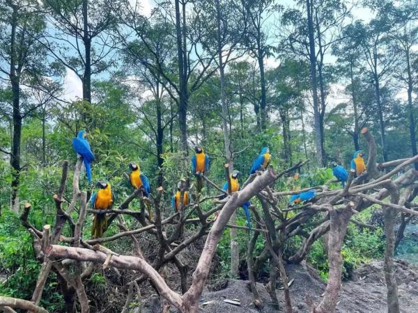 课本里读到的故事"活"了! 课本里读到的故事"活"了!