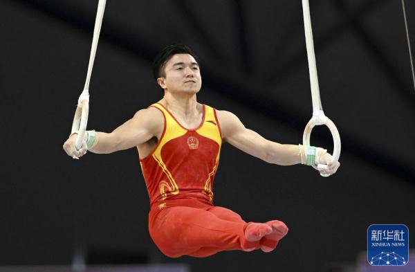 国际体联世界杯赛多哈站：刘洋吊环夺冠