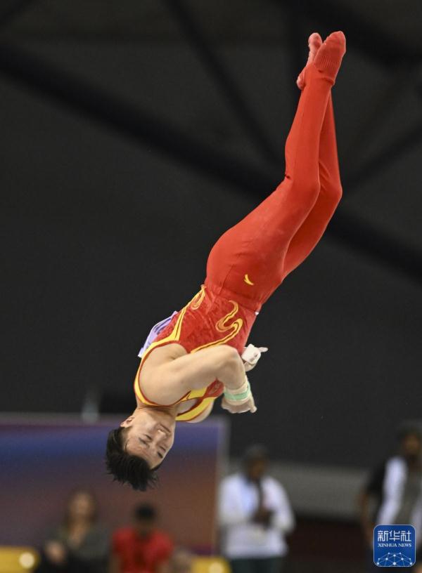 国际体联世界杯赛多哈站：刘洋吊环夺冠