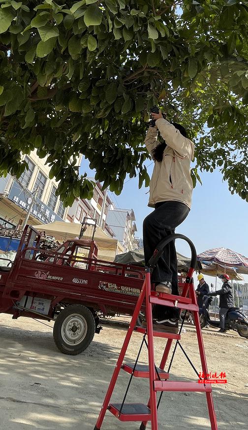 摸了这草会秃头?福州这名女生火了! 摸了这草会秃头?福州这名女生火了!