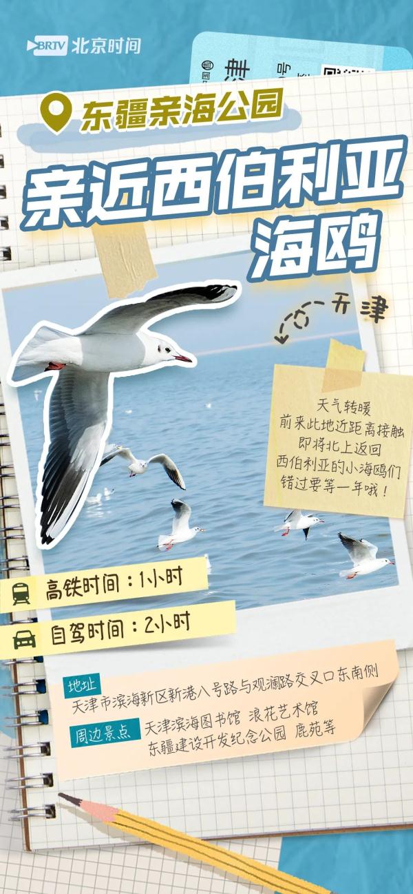 攻略图鉴 | 京津冀2小时旅游圈！ 春暖花开，说走就走→