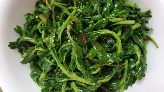 江南春菜的N种吃法