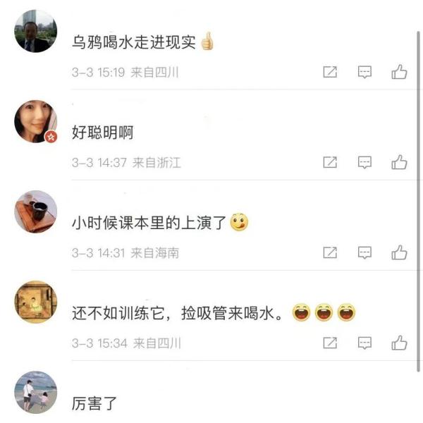 小学课本里“乌鸦喝水”的故事成真了！