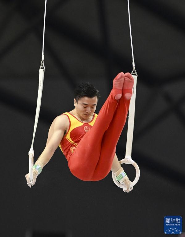 国际体联世界杯赛多哈站：刘洋吊环夺冠