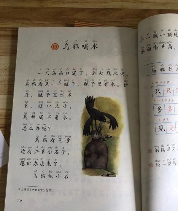 小学课本里“乌鸦喝水”的故事成真了！